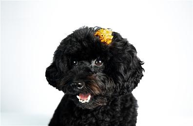 id Software《雷神之锤2：复刻版》已登陆各平台